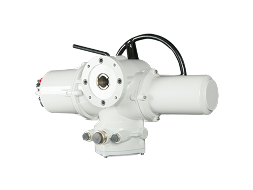 RTS多回转智能防爆型